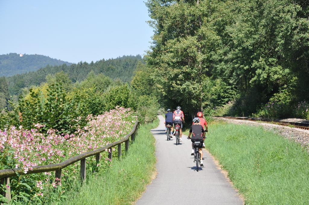 Ferienwohnung Regentalblick Miltach Luaran gambar